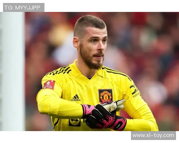 足球明星中谁是最强门将的争议与评选分析