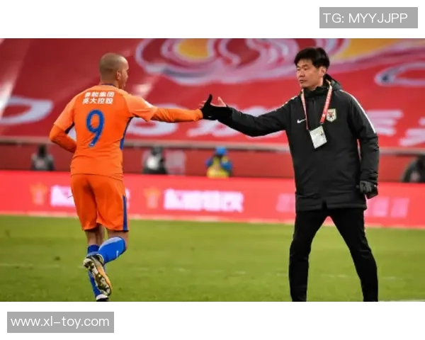 南京排球队实力引发热议球迷对球队表现的看法与争论