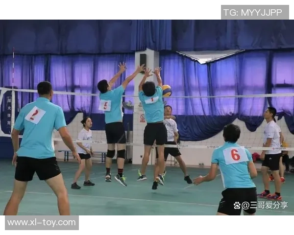 成都排球队灵活性探秘：战术创新与团队协作的完美结合