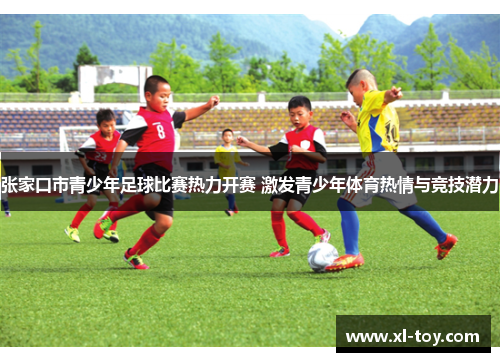 张家口市青少年足球比赛热力开赛 激发青少年体育热情与竞技潜力